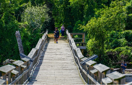 people walk on bridge