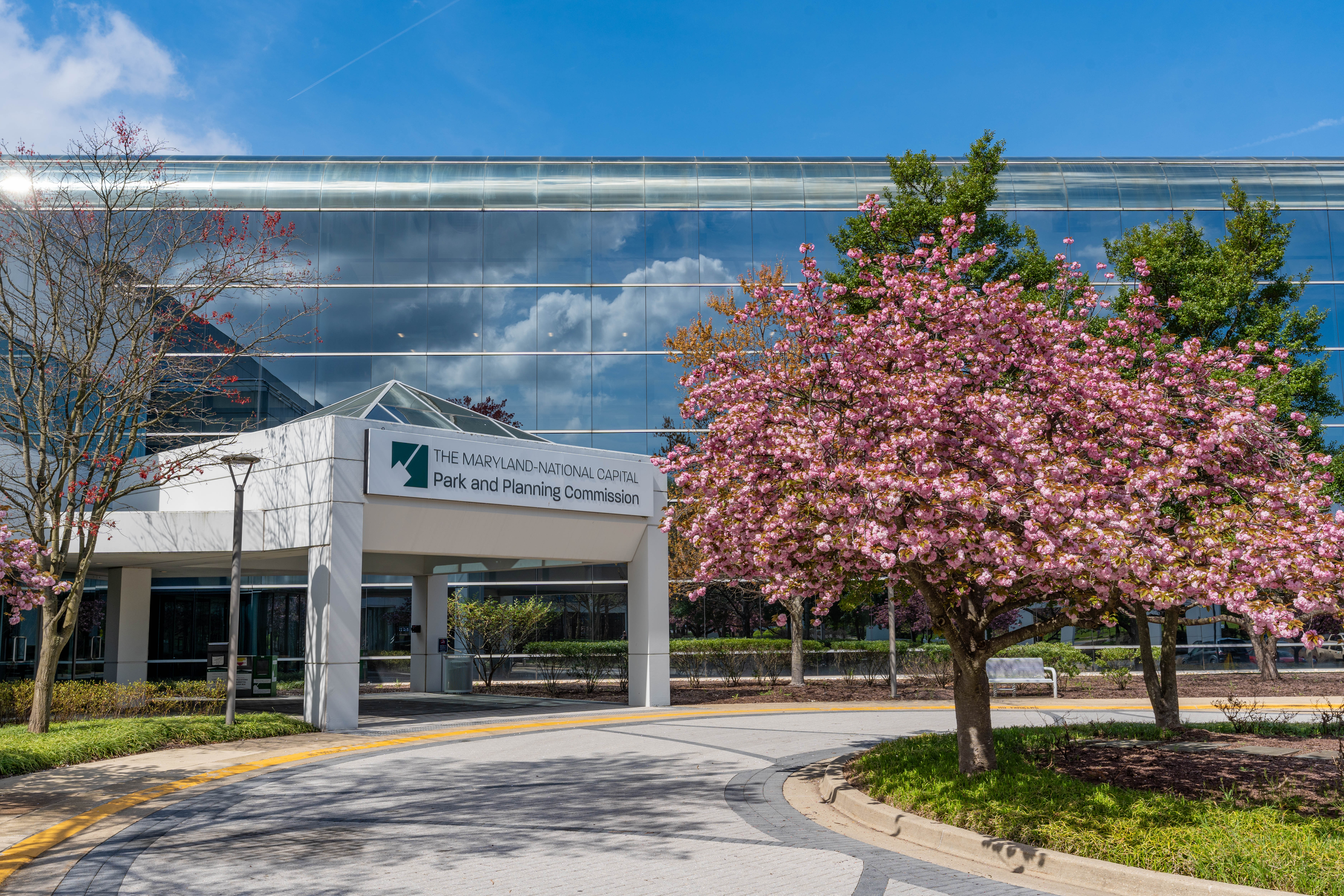 M-NCPPC Largo Headquarters front entrance with blooming cherry tree to the right.